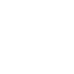 Quality Icon